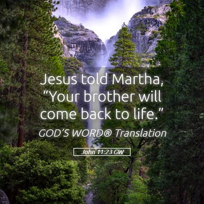 Picture 05 - John 11:23 GW - Jesus told Martha, “Your brother will come back - Bible Verse Picture