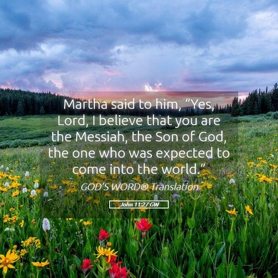 Picture 05 - John 11:27 GW - Martha said to him, “Yes, Lord, I believe that - Bible Verse Picture