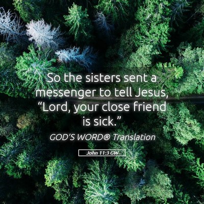 Picture 05 - John 11:3 GW - So the sisters sent a messenger to tell Jesus, - Bible Verse Picture
