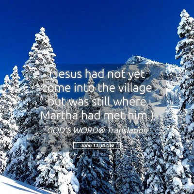 Picture 05 - John 11:30 GW - (Jesus had not yet come into the village but was - Bible Verse Picture