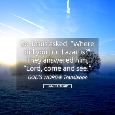 Picture 05 - John 11:34 GW - So Jesus asked, “Where did you put Lazarus?” - Bible Verse Picture