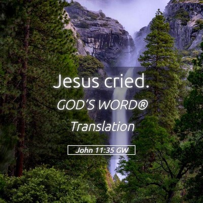 Picture 05 - John 11:35 GW - Jesus - Bible Verse Picture