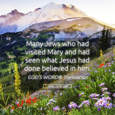 Picture 05 - John 11:45 GW - Many Jews who had visited Mary and had seen what - Bible Verse Picture