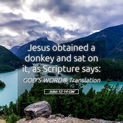 Picture 05 - John 12:14 GW - Jesus obtained a donkey and sat on it, as - Bible Verse Picture