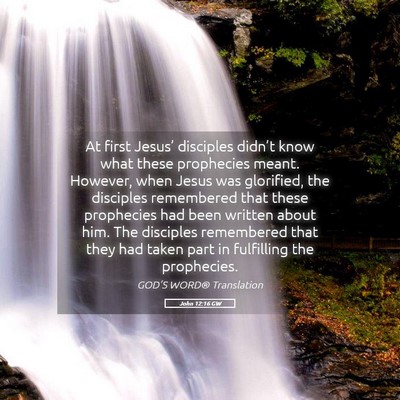 Picture 05 - John 12:16 GW - At first Jesus’ disciples didn’t know what - Bible Verse Picture