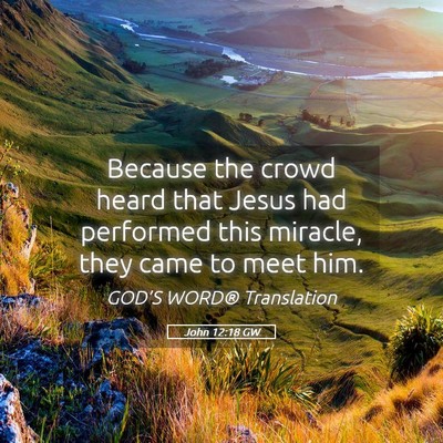 Picture 05 - John 12:18 GW - Because the crowd heard that Jesus had performed - Bible Verse Picture