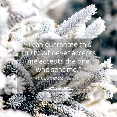 Picture 05 - John 13:20 GW - “I can guarantee this truth: Whoever accepts me - Bible Verse Picture