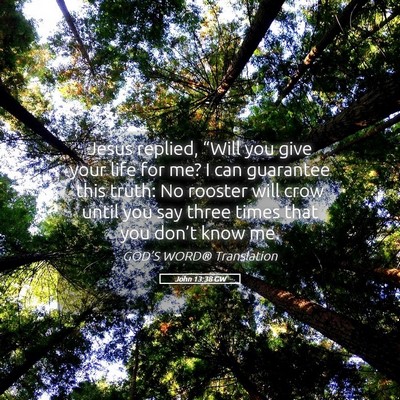 Picture 05 - John 13:38 GW - Jesus replied, “Will you give your life for me? - Bible Verse Picture