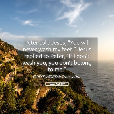 Picture 05 - John 13:8 GW - Peter told Jesus, “You will never wash my - Bible Verse Picture