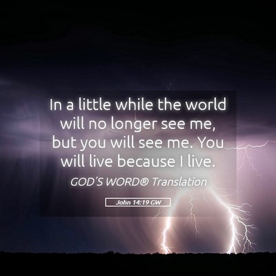 Picture 05 - John 14:19 GW - In a little while the world will no longer see - Bible Verse Picture