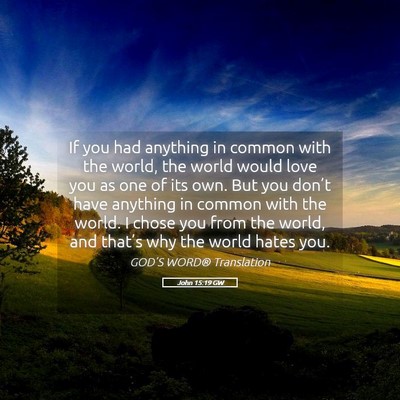 Picture 05 - John 15:19 GW - If you had anything in common with the world, the - Bible Verse Picture