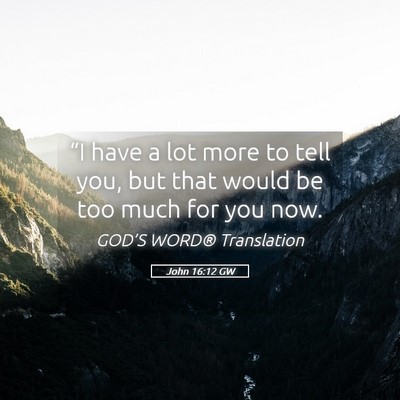 Picture 05 - John 16:12 GW - “I have a lot more to tell you, but that would - Bible Verse Picture