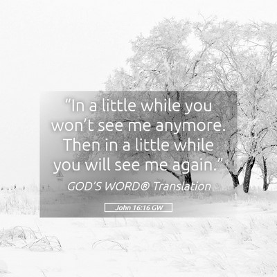 Picture 05 - John 16:16 GW - “In a little while you won’t see me anymore. - Bible Verse Picture