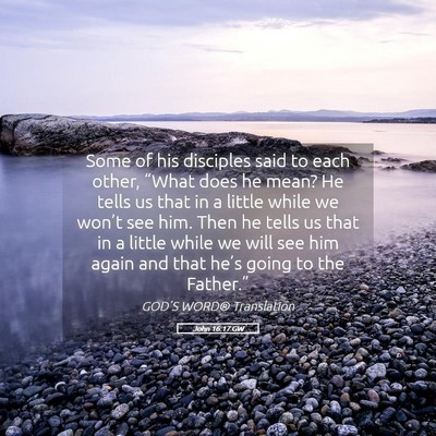 Picture 05 - John 16:17 GW - Some of his disciples said to each other, “What - Bible Verse Picture