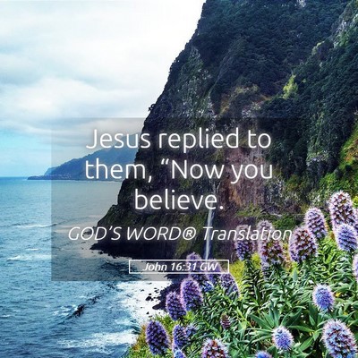 Picture 05 - John 16:31 GW - Jesus replied to them, “Now you - Bible Verse Picture