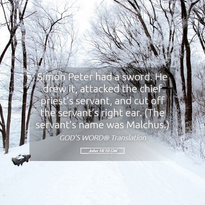 Picture 05 - John 18:10 GW - Simon Peter had a sword. He drew it, attacked the - Bible Verse Picture