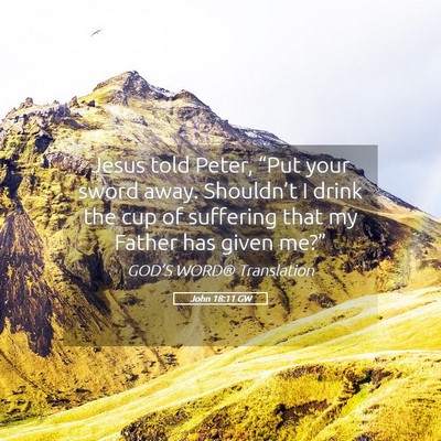 Picture 05 - John 18:11 GW - Jesus told Peter, “Put your sword away. - Bible Verse Picture