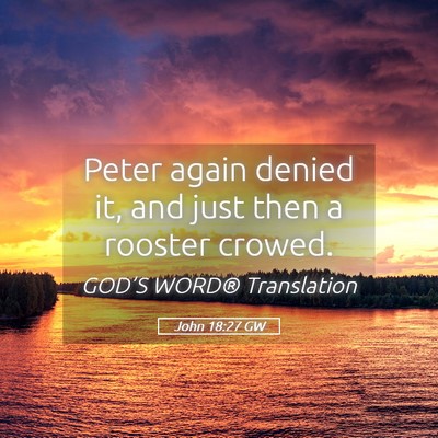 Picture 05 - John 18:27 GW - Peter again denied it, and just then a rooster - Bible Verse Picture