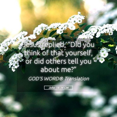 Picture 05 - John 18:34 GW - Jesus replied, “Did you think of that yourself, - Bible Verse Picture
