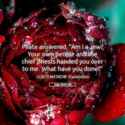 Picture 05 - John 18:35 GW - Pilate answered, “Am I a Jew? Your own people - Bible Verse Picture