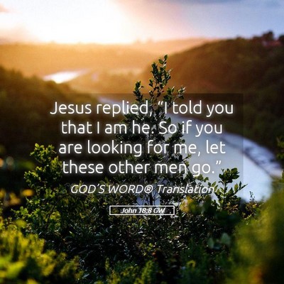 Picture 05 - John 18:8 GW - Jesus replied, “I told you that I am he. So if - Bible Verse Picture