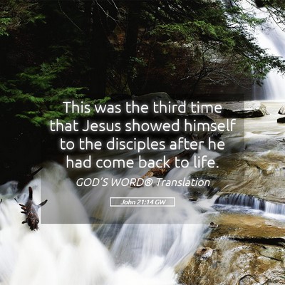 Picture 05 - John 21:14 GW - This was the third time that Jesus showed himself - Bible Verse Picture
