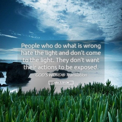 Picture 05 - John 3:20 GW - People who do what is wrong hate the light and - Bible Verse Picture