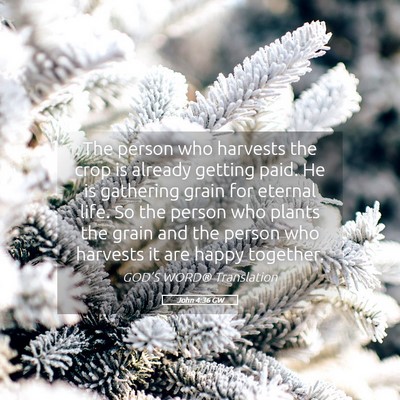 Picture 05 - John 4:36 GW - The person who harvests the crop is already - Bible Verse Picture