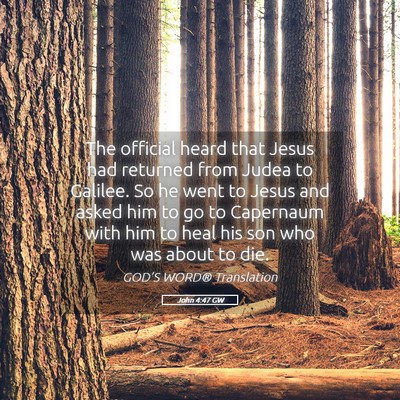Picture 05 - John 4:47 GW - The official heard that Jesus had returned from - Bible Verse Picture