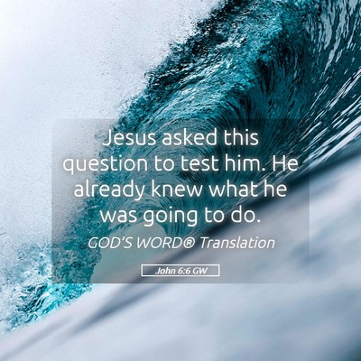 Picture 05 - John 6:6 GW - Jesus asked this question to test him. He already - Bible Verse Picture