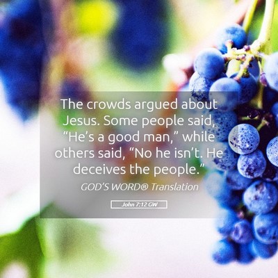 Picture 05 - John 7:12 GW - The crowds argued about Jesus. Some people said, - Bible Verse Picture