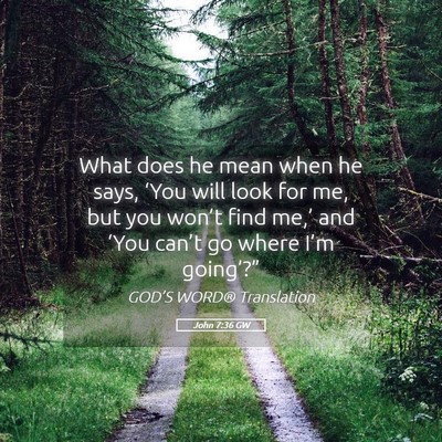 Picture 05 - John 7:36 GW - What does he mean when he says, ‘You will look - Bible Verse Picture