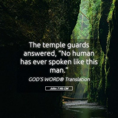 Picture 05 - John 7:46 GW - The temple guards answered, “No human has ever - Bible Verse Picture