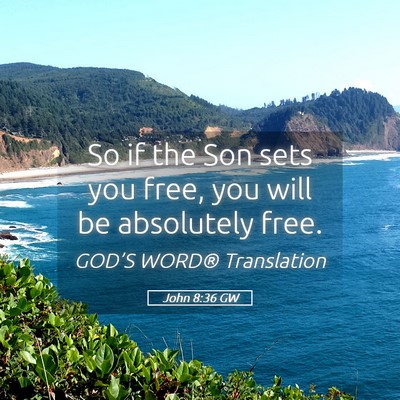 Picture 05 - John 8:36 GW - So if the Son sets you free, you will be - Bible Verse Picture