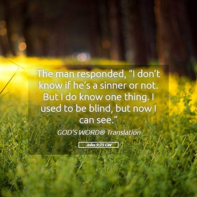 Picture 05 - John 9:25 GW - The man responded, “I don’t know if he’s a - Bible Verse Picture