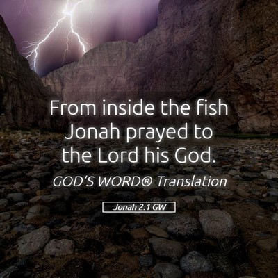 Picture 05 - Jonah 2:1 GW - From inside the fish Jonah prayed to the Lord his - Bible Verse Picture