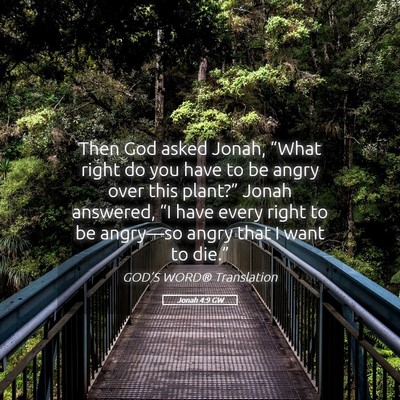 Picture 05 - Jonah 4:9 GW - Then God asked Jonah, “What right do you have - Bible Verse Picture