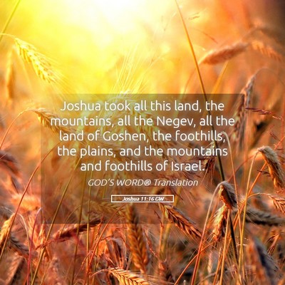 Picture 05 - Joshua 11:16 GW - Joshua took all this land, the mountains, all the - Bible Verse Picture