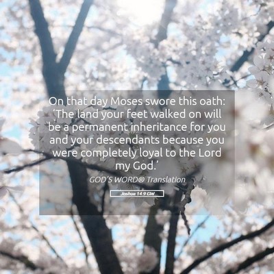 Picture 05 - Joshua 14:9 GW - On that day Moses swore this oath: ‘The land - Bible Verse Picture