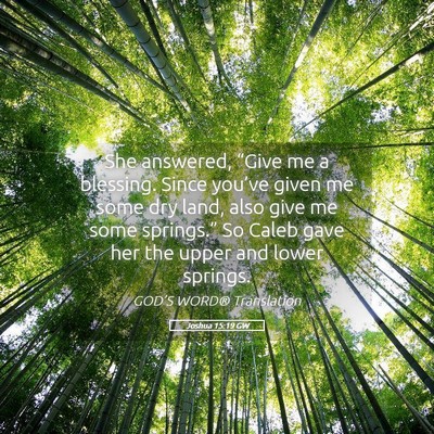 Picture 05 - Joshua 15:19 GW - She answered, “Give me a blessing. Since - Bible Verse Picture