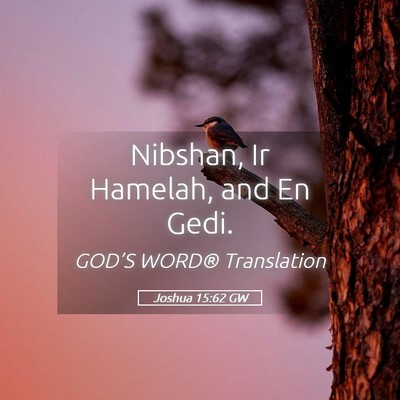 Picture 05 - Joshua 15:62 GW - Nibshan, Ir Hamelah, and En - Bible Verse Picture