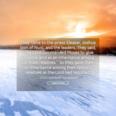 Picture 05 - Joshua 17:4 GW - They came to the priest Eleazar, Joshua (son of - Bible Verse Picture