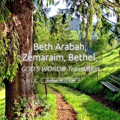 Picture 05 - Joshua 18:22 GW - Beth Arabah, Zemaraim, - Bible Verse Picture