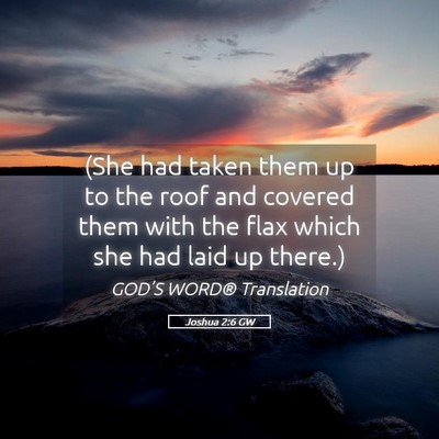 Picture 05 - Joshua 2:6 GW - (She had taken them up to the roof and covered - Bible Verse Picture