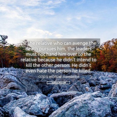 Picture 05 - Joshua 20:5 GW - “‘If the relative who can avenge the death - Bible Verse Picture