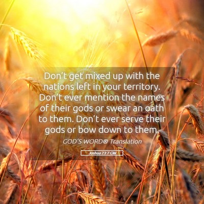 Picture 05 - Joshua 23:7 GW - Don’t get mixed up with the nations left in - Bible Verse Picture