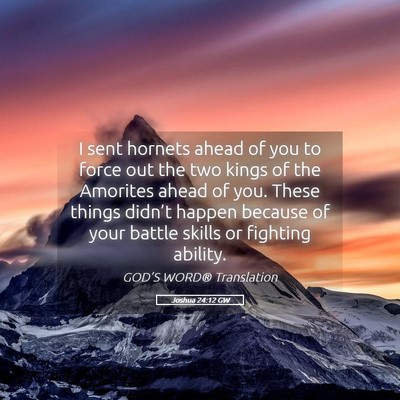 Picture 05 - Joshua 24:12 GW - I sent hornets ahead of you to force out the two - Bible Verse Picture