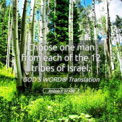 Picture 05 - Joshua 3:12 GW - Choose one man from each of the 12 tribes of - Bible Verse Picture