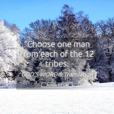 Picture 05 - Joshua 4:2 GW - “Choose one man from each of the 12 - Bible Verse Picture