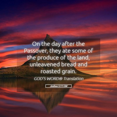Picture 05 - Joshua 5:11 GW - On the day after the Passover, they ate some of - Bible Verse Picture